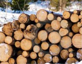 木材燃燒對環境的影響