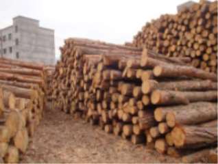 簡述木材的聲學特性