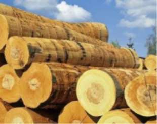 簡要分析木材的水分特性