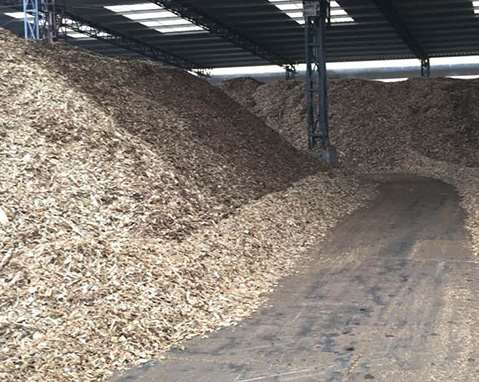 紙漿原料的造紙應用