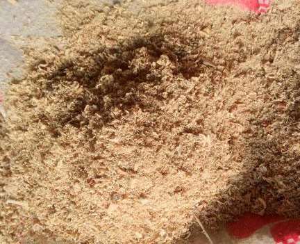 如何滿足松木粉的后續使用