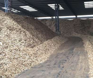 紙漿原材料有哪些不用之處