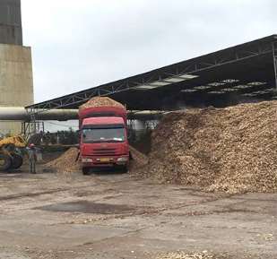 不同的紙漿原材料用途和功能