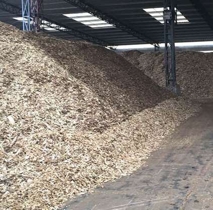 紙漿原材料的漂白工藝探討