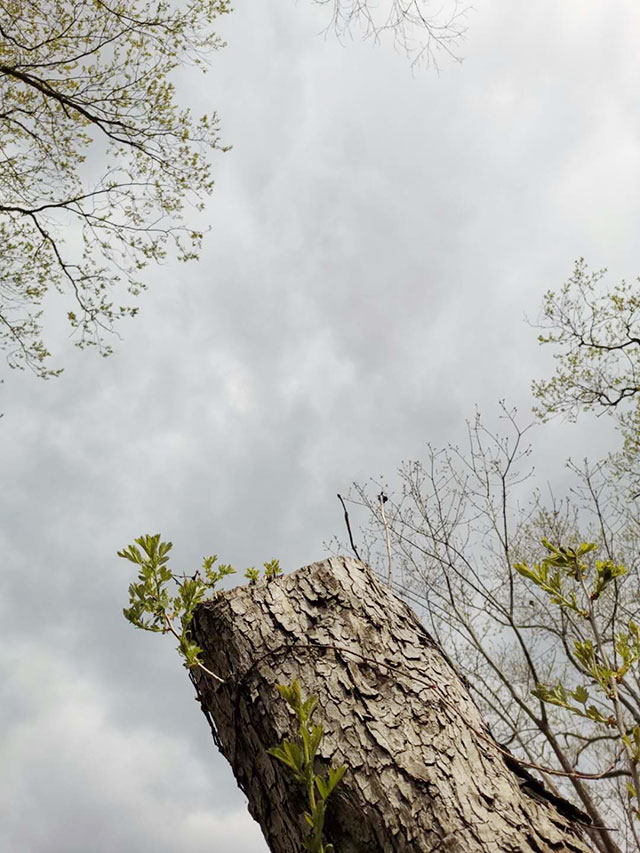 廠區(qū)環(huán)境 廠區(qū)環(huán)境