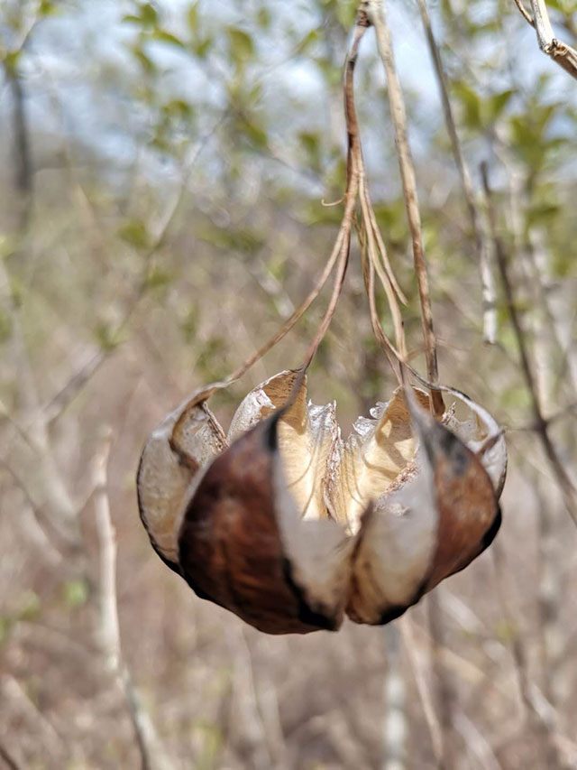 廠區環境 廠區環境