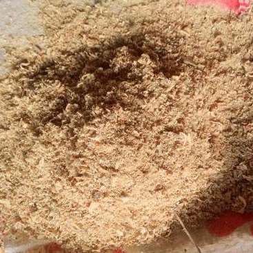 松木粉的合理利用要求