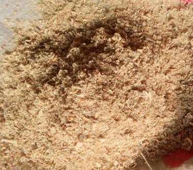 松木粉的有效性簡述