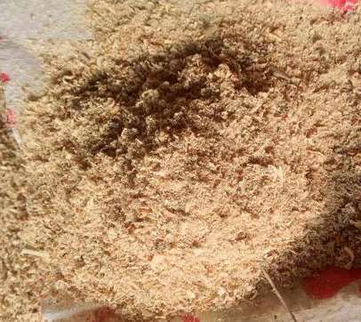 松木粉的選擇要去重視的地方