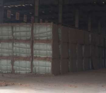 用于加工木纖維粉的漂白裝置