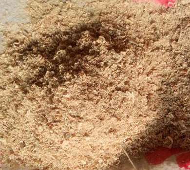 戶外木塑共擠面料利用松木粉的原因