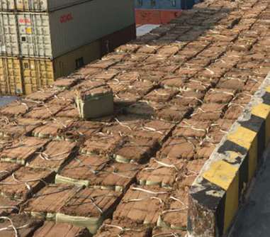 木纖維粉防阻塞過濾裝置的利用