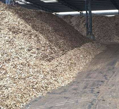 以構(gòu)樹(shù)根莖為紙漿原材料的目的