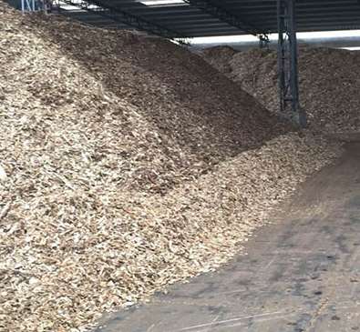 紙漿原材料的加工方法