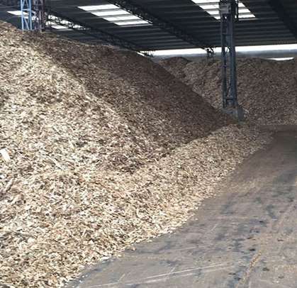 紙漿原材料工業生產工藝