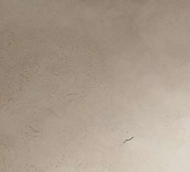 介紹熱可塑性雜木粉