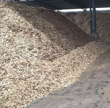 紙漿原材料的種類有哪些