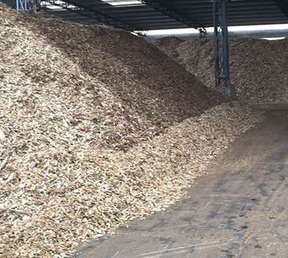 紙漿原材料的材料特性分析