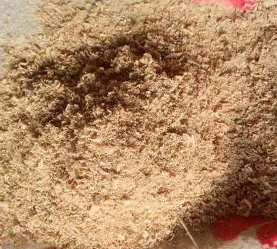 松木粉的制備要從哪些方面去了解