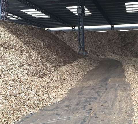 纖維紙漿原材料的組成制備介紹