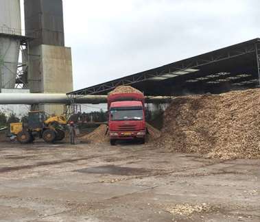 紙漿原材料的分類相關(guān)介紹