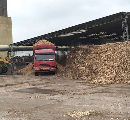 紙漿原材料的相關知識講解 紙漿原材料的相關知識講解