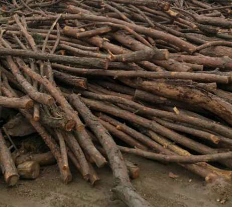 木材干燥處理方法與流程 木材干燥處理方法與流程