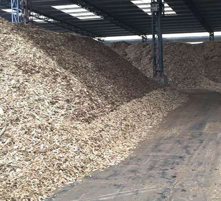 紙漿原材料的不同類別講解 紙漿原材料的不同類別講解