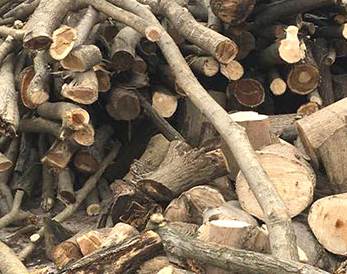 木材價(jià)格再次暴漲是何原因 木材價(jià)格再次暴漲是何原因