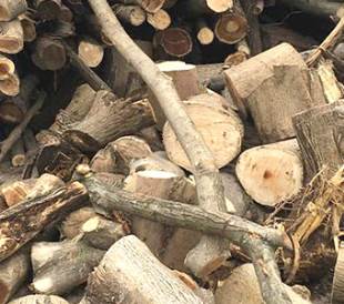 木材采購中的注意事項 木材采購中的注意事項