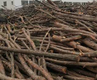 木材的應(yīng)用情況怎么樣 木材的應(yīng)用情況怎么樣