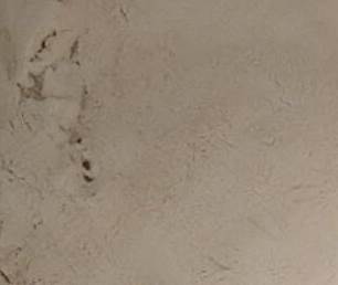 紙漿原材料怎樣進行制作 紙漿原材料怎樣進行制作