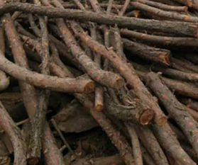 木材有哪些優缺點 木材有哪些優缺點