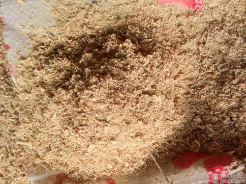 松木粉的熱值 松木粉的熱值